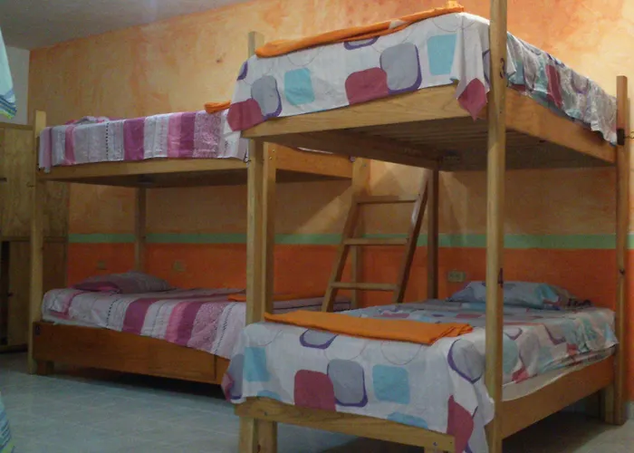 Hostal Amigos *