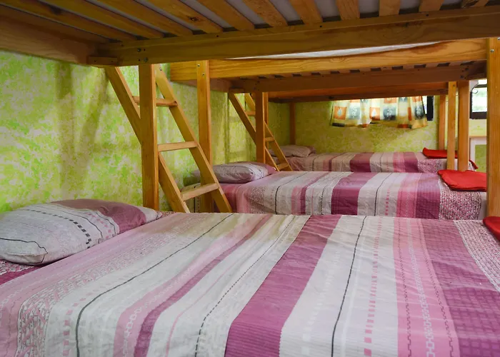 Amigos Hostal *