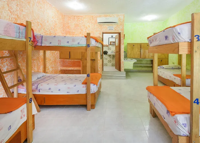 Hostal Amigos