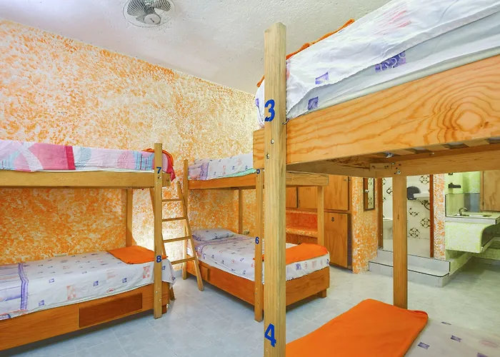Amigos Hostal