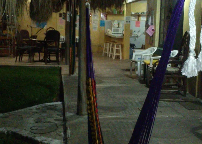 Amigos Cozumel