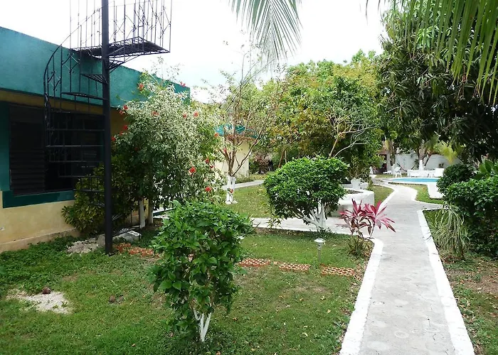 Hostal Amigos *