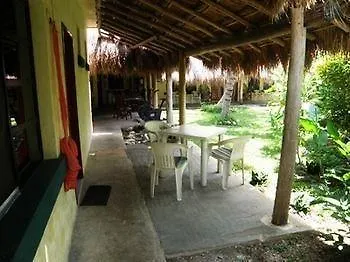 Amigos * Cozumel