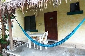 Amigos Cozumel
