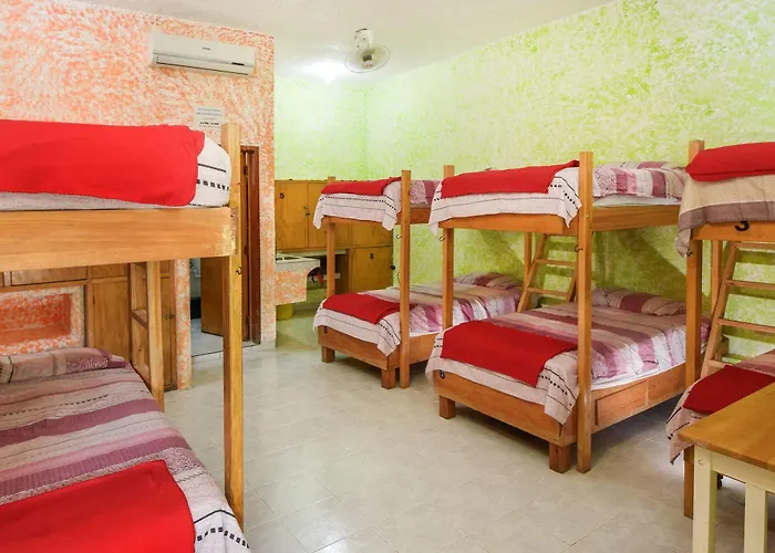 Hostal Amigos